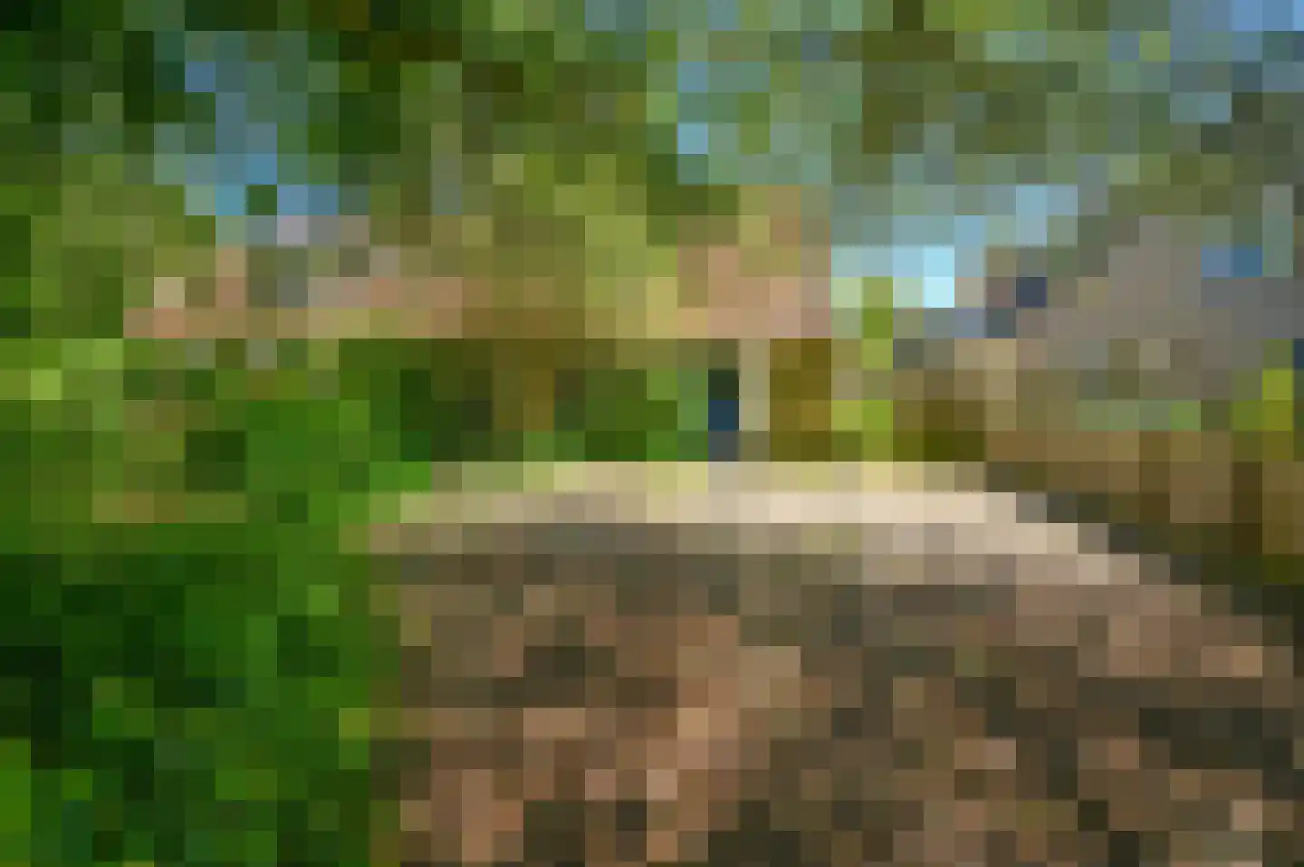 Spoorlaan 1 Hollandsche Rading thumbnail 27