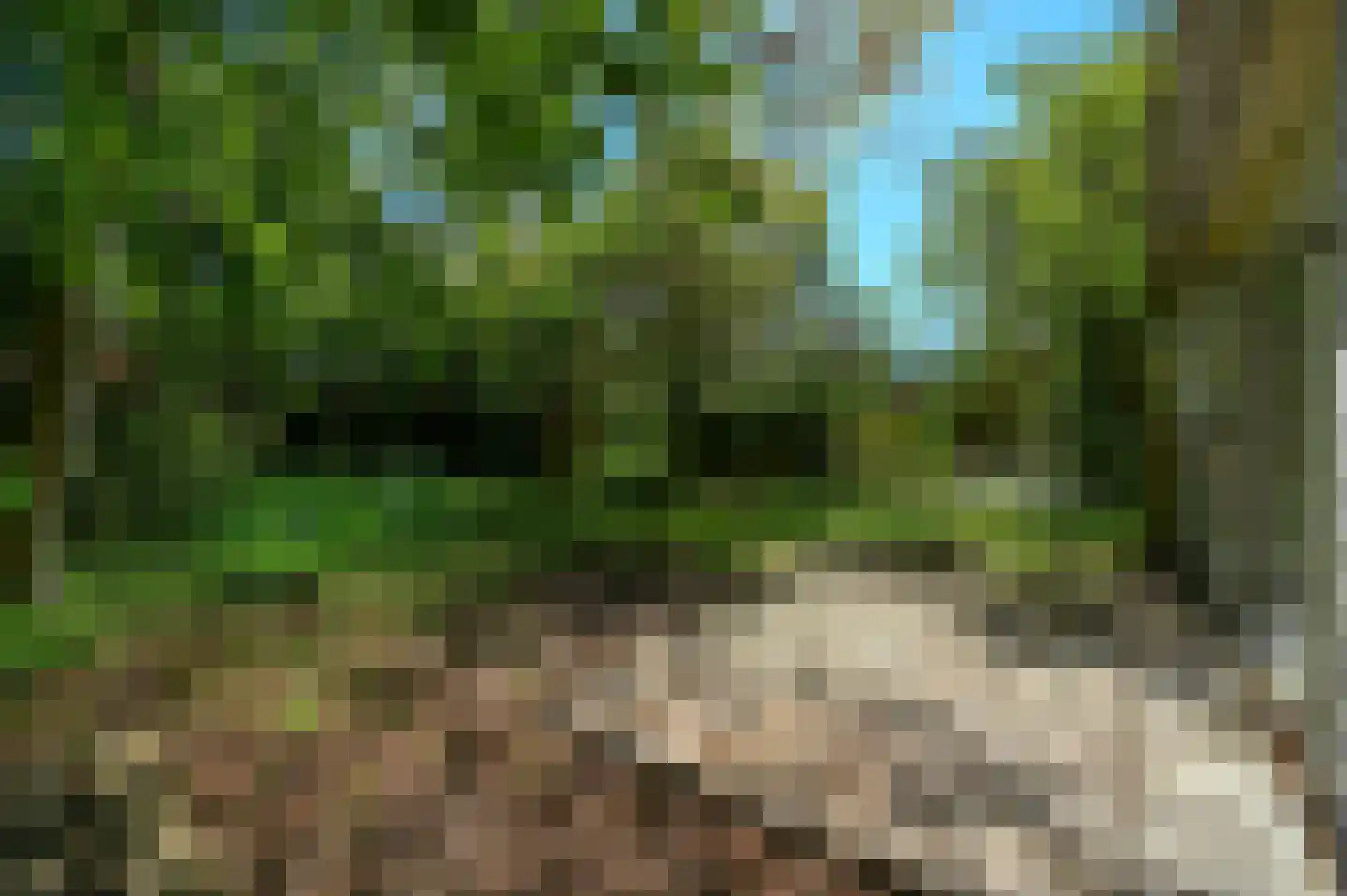 Spoorlaan 1 Hollandsche Rading thumbnail 28