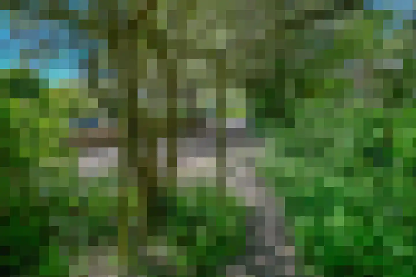 Spoorlaan 1 Hollandsche Rading thumbnail 29