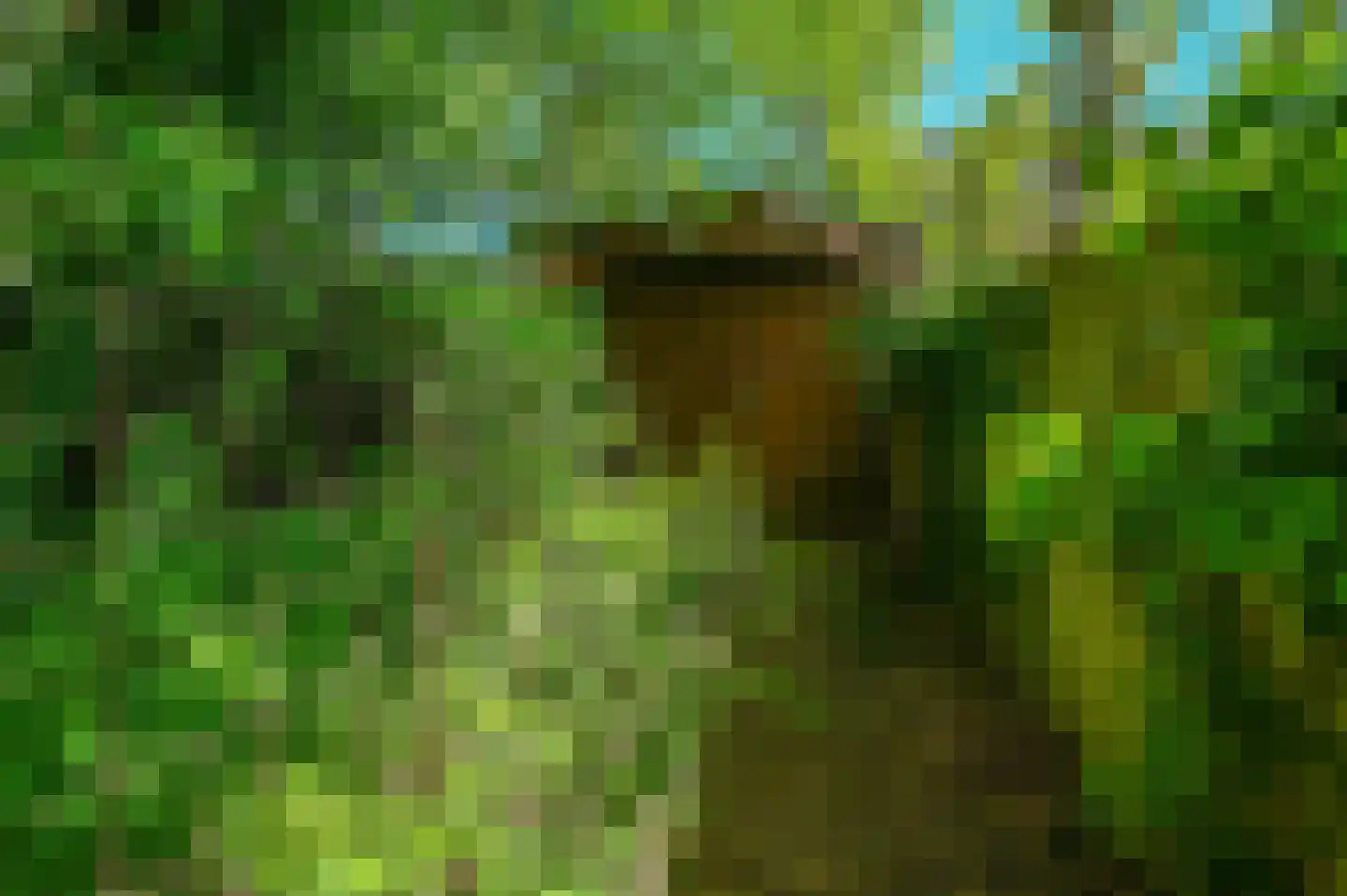 Spoorlaan 1 Hollandsche Rading thumbnail 30
