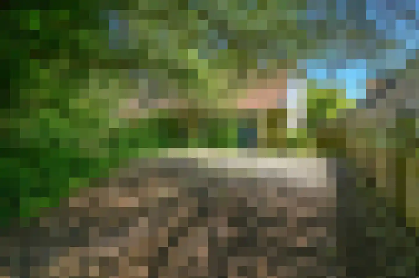 Spoorlaan 1 Hollandsche Rading thumbnail 32