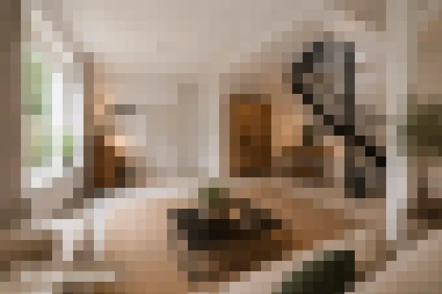 Spoorlaan 1 Hollandsche Rading thumbnail 4
