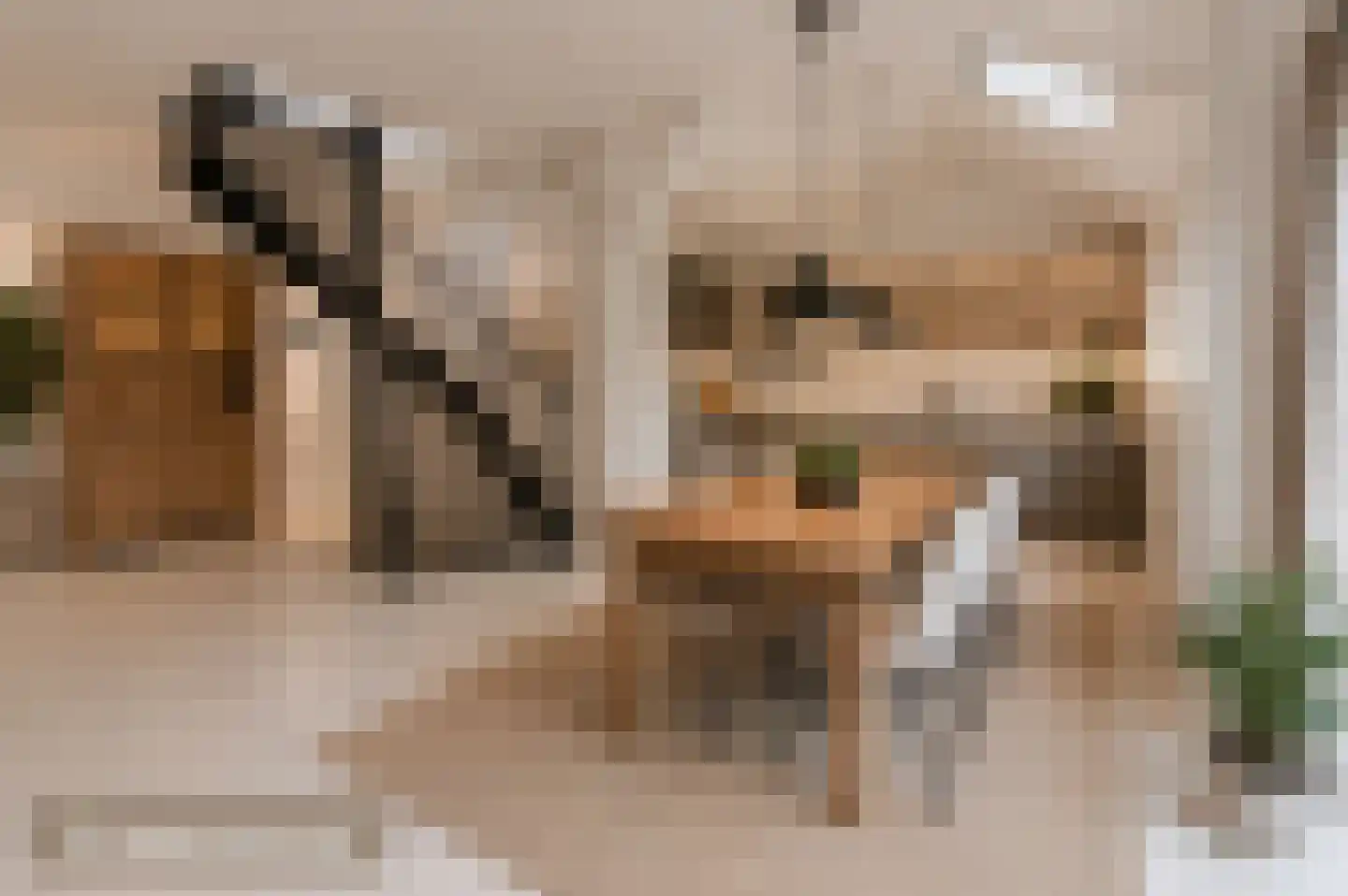 Spoorlaan 1 Hollandsche Rading thumbnail 6