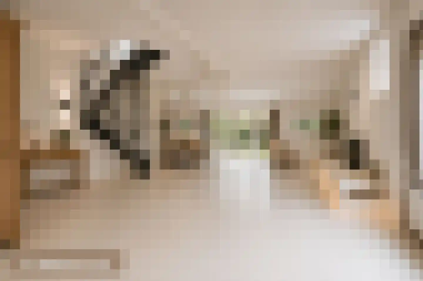 Spoorlaan 1 Hollandsche Rading thumbnail 8