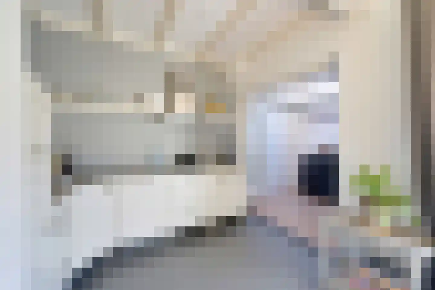 Spoorlaan 10 Zwammerdam thumbnail 11