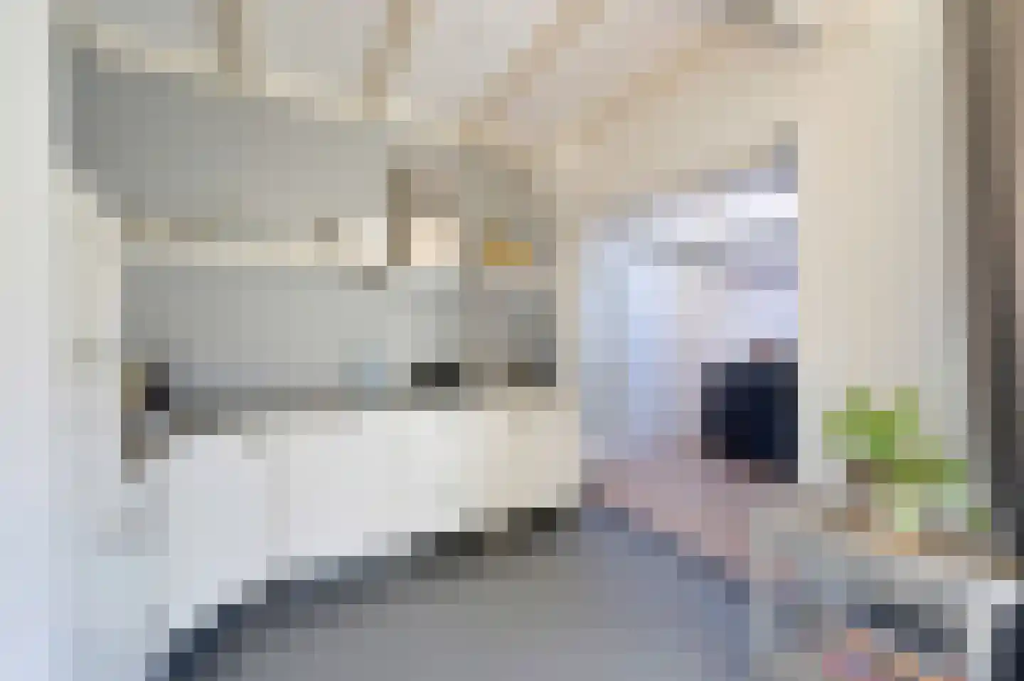 Spoorlaan 10 Zwammerdam thumbnail 11