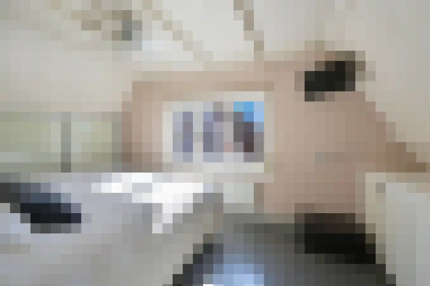Spoorlaan 10 Zwammerdam thumbnail 20