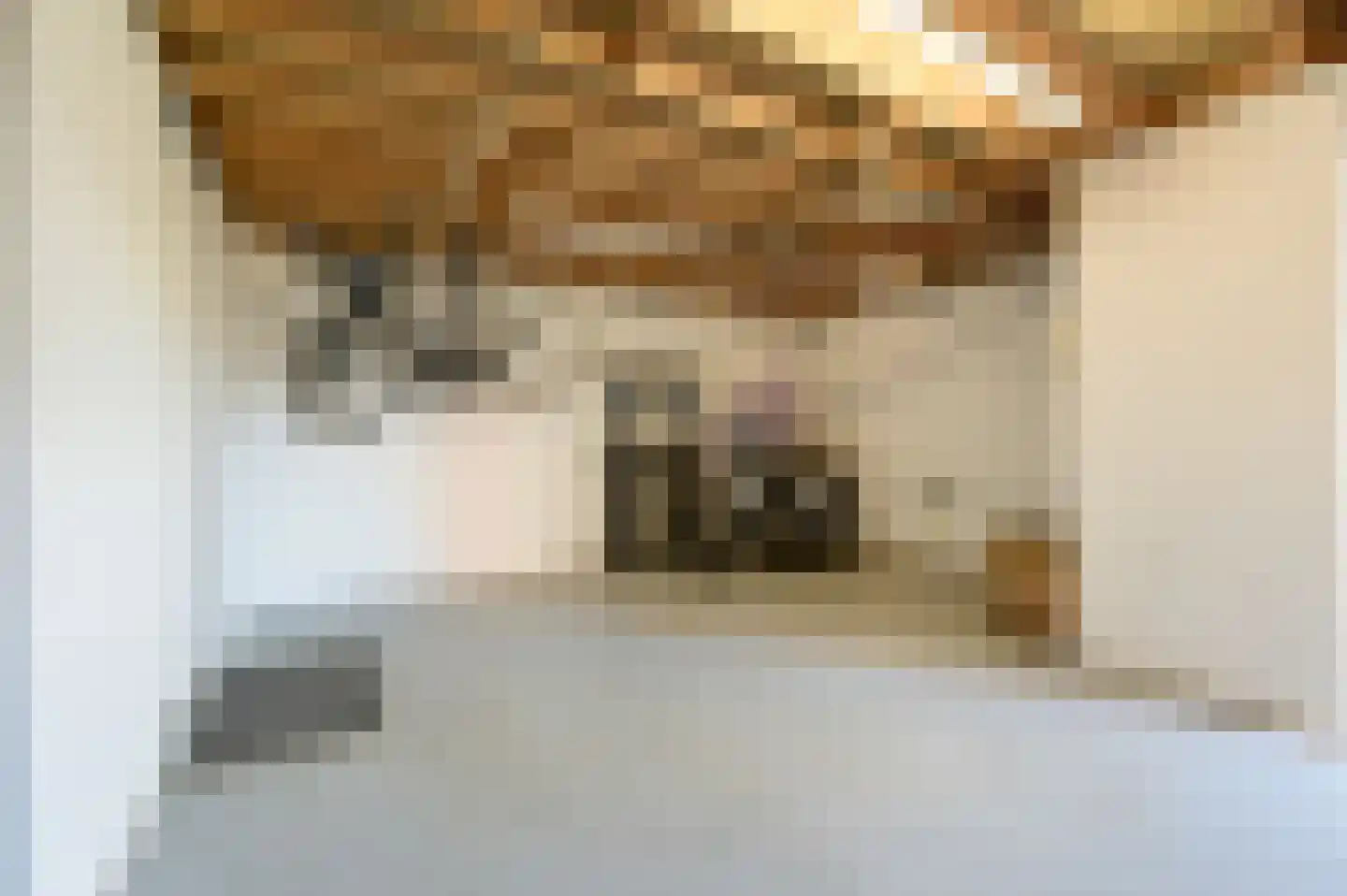 Spoorlaan 10 Zwammerdam thumbnail 29