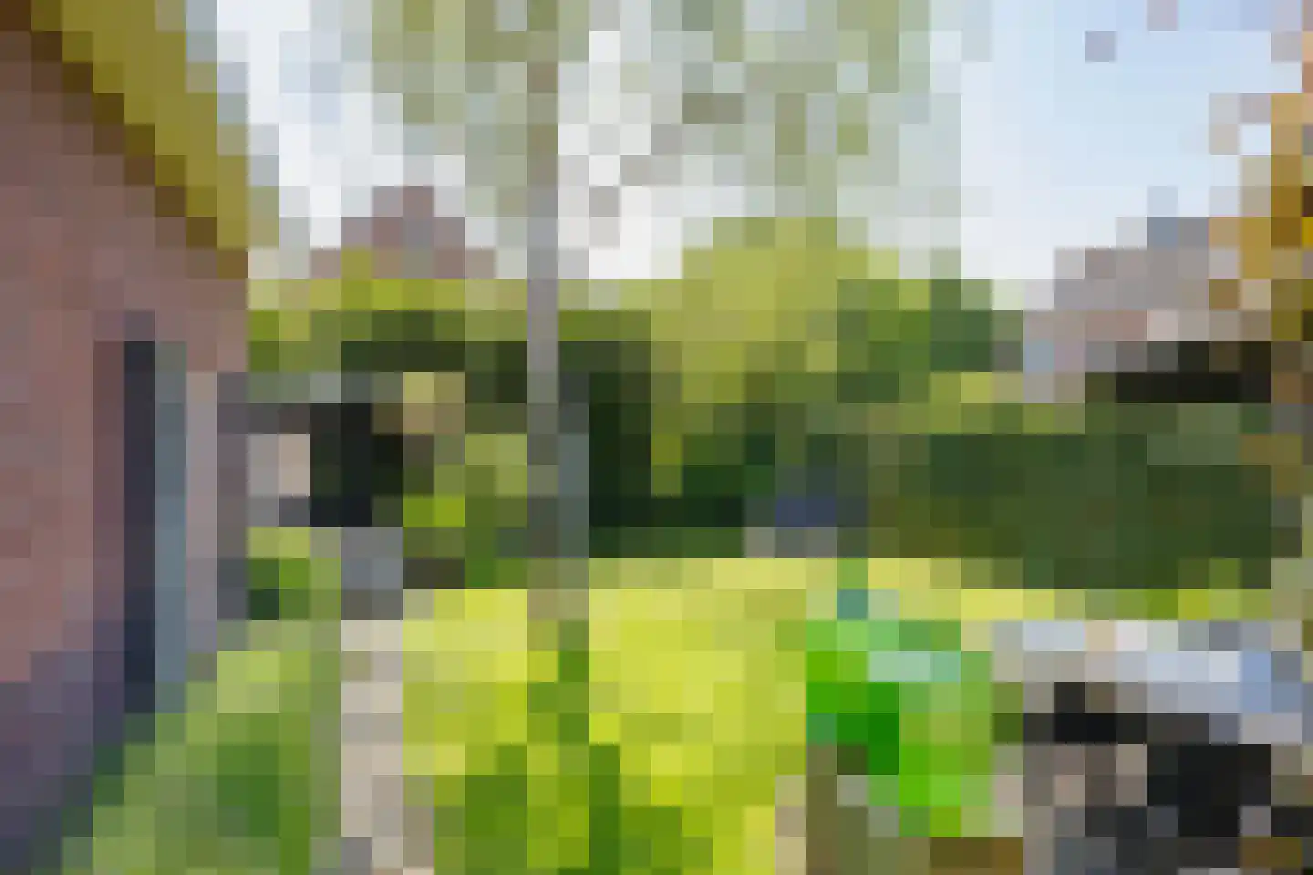 Spoorlaan 10 Zwammerdam thumbnail 33