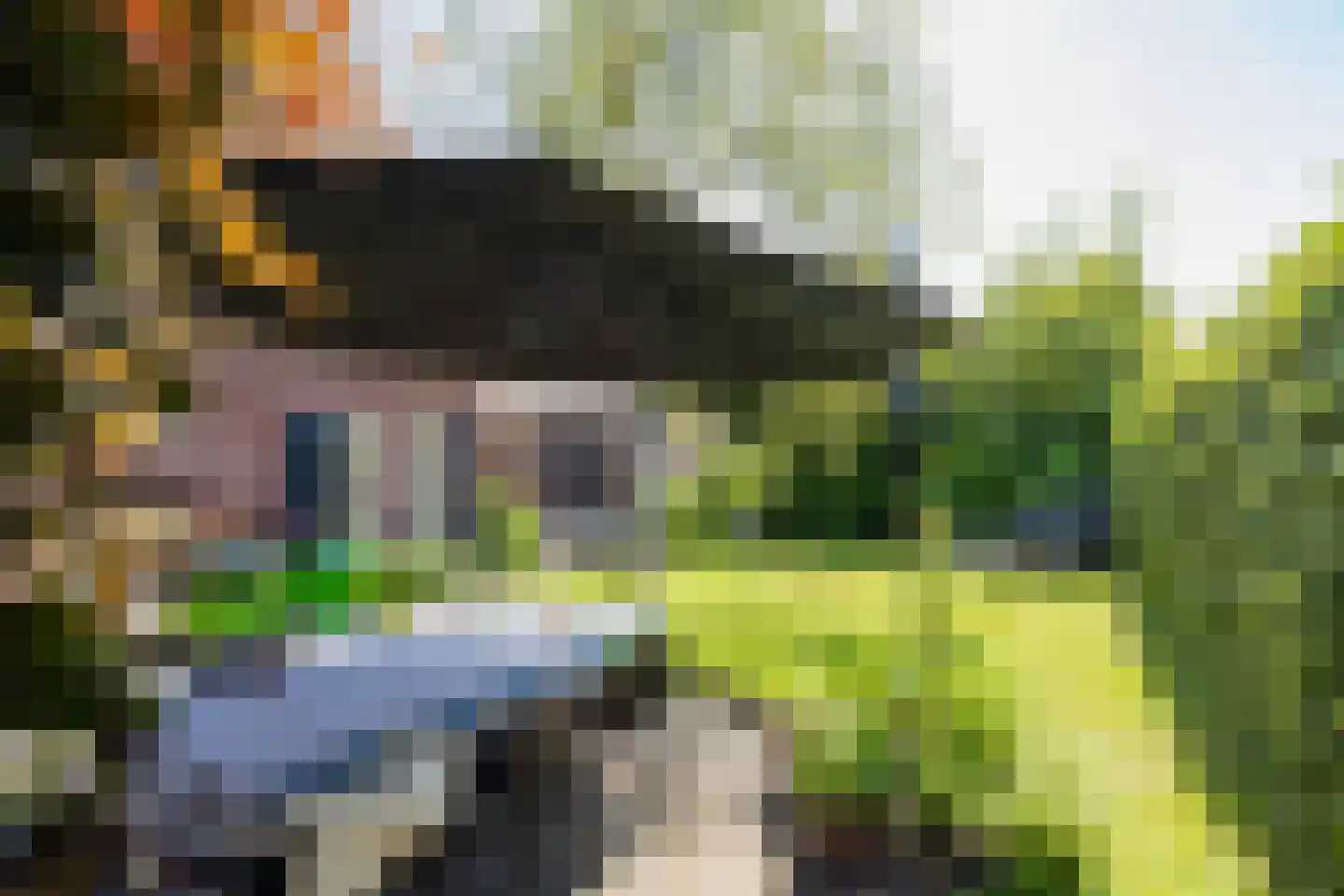 Spoorlaan 10 Zwammerdam thumbnail 35