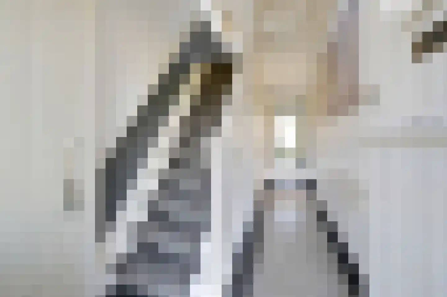 Spoorlaan 10 Zwammerdam thumbnail 8