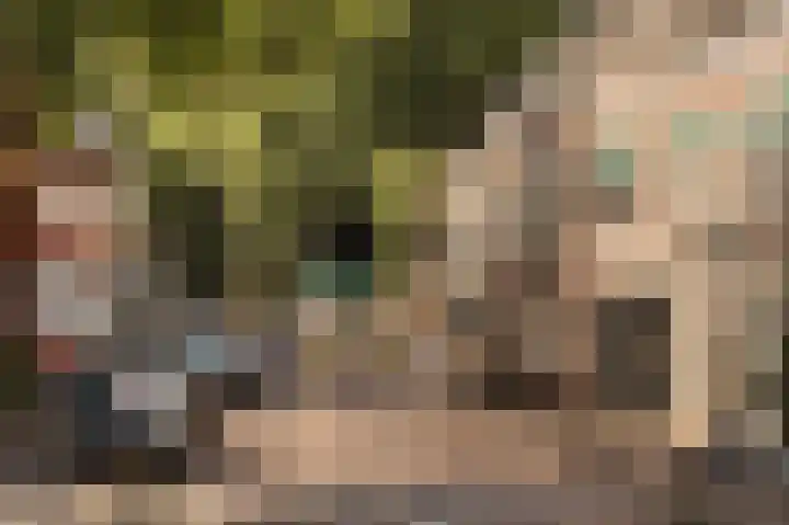 Spoorlaan 11 Abcoude thumbnail 29