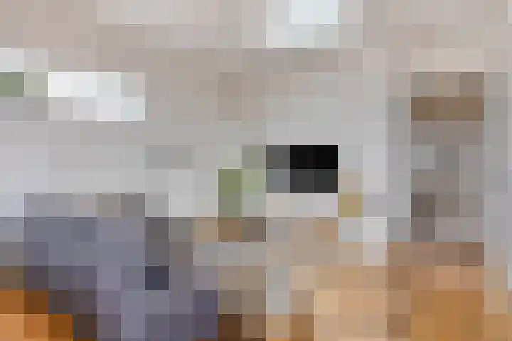 Spoorlaan 11 Abcoude thumbnail 4