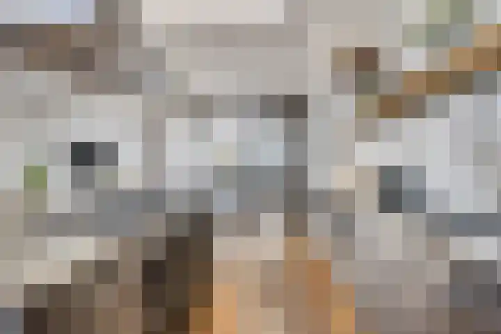 Spoorlaan 11 Abcoude thumbnail 8