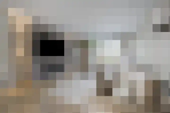 Spoorlaan 11 Etten-Leur thumbnail 10