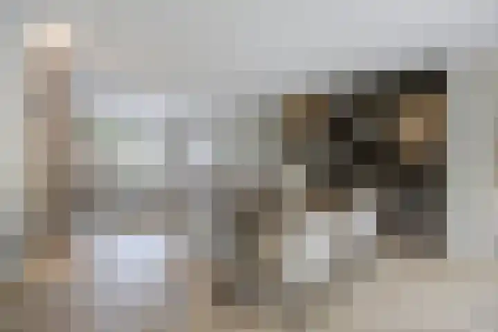 Spoorlaan 11 Etten-Leur thumbnail 12