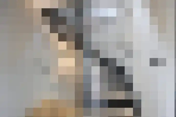 Spoorlaan 11 Etten-Leur thumbnail 20