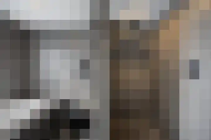 Spoorlaan 11 Etten-Leur thumbnail 31