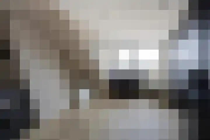 Spoorlaan 11 Etten-Leur thumbnail 36