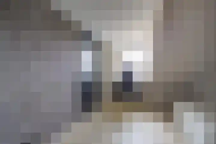 Spoorlaan 11 Etten-Leur thumbnail 39