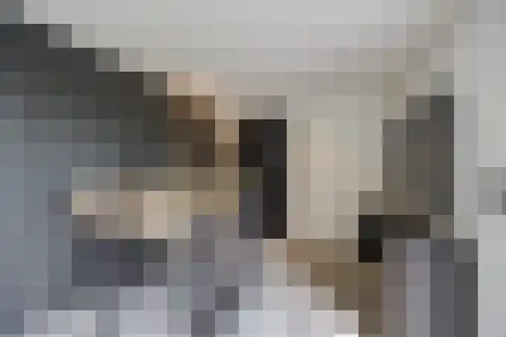 Spoorlaan 11 Etten-Leur thumbnail 46