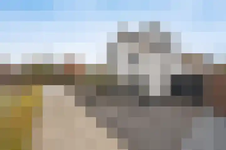 Spoorlaan 11 Etten-Leur thumbnail 54