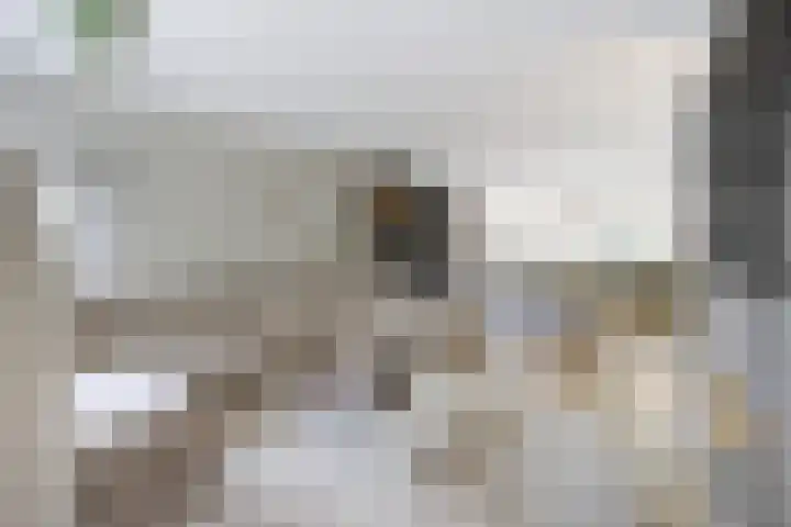 Spoorlaan 11 Etten-Leur thumbnail 7