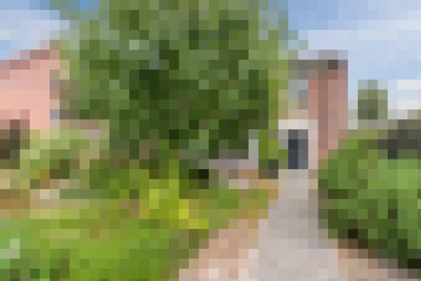 Spoorlaan 118 Oss thumbnail 11