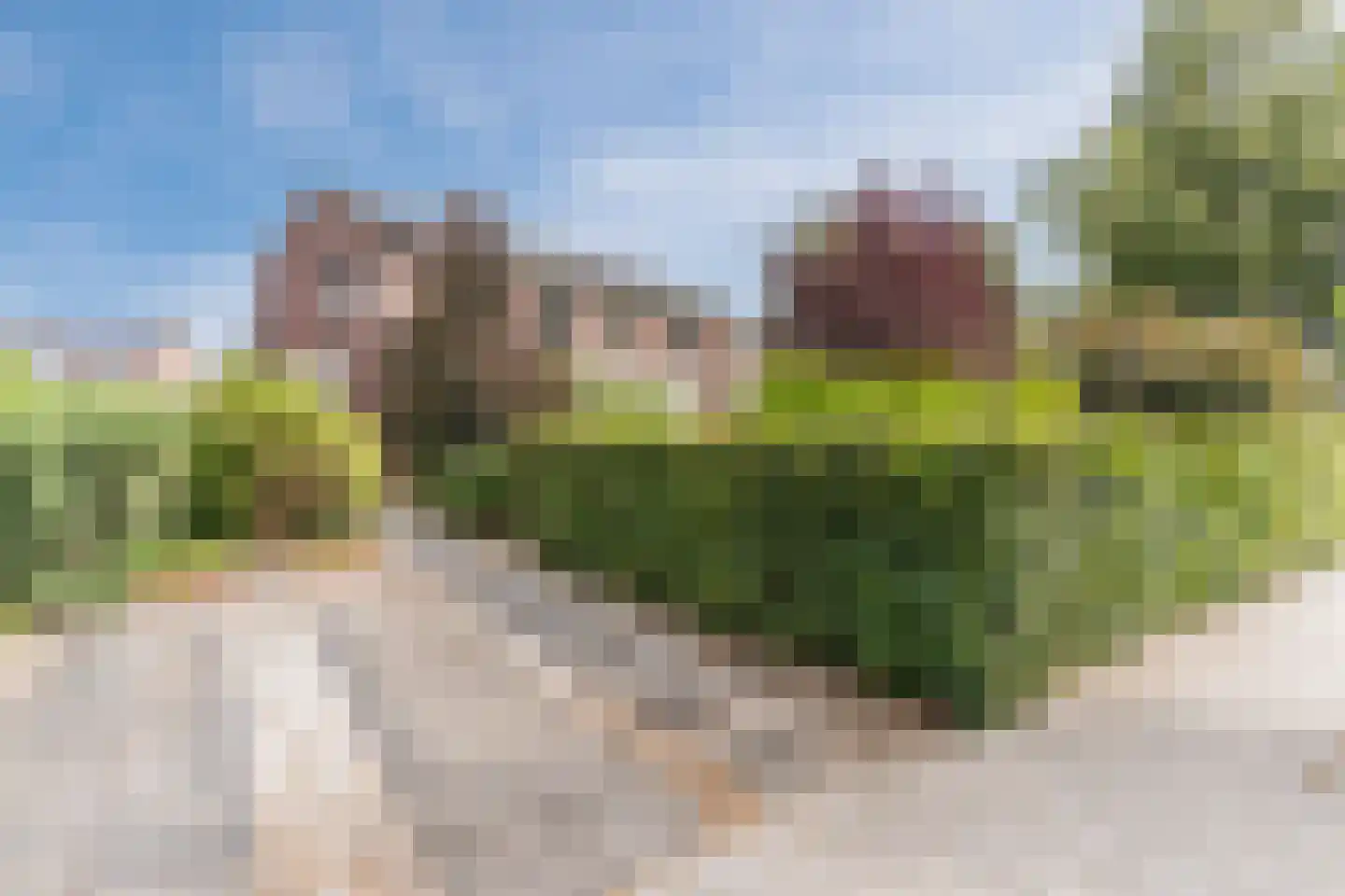 Spoorlaan 118 Oss thumbnail 13