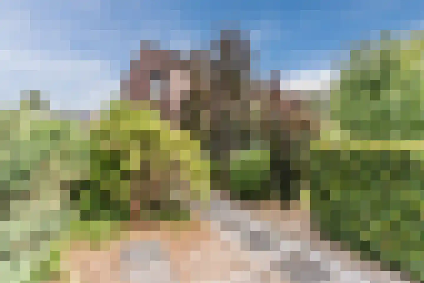 Spoorlaan 118 Oss thumbnail 14
