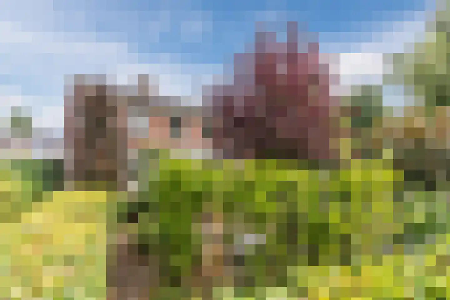 Spoorlaan 118 Oss thumbnail 15