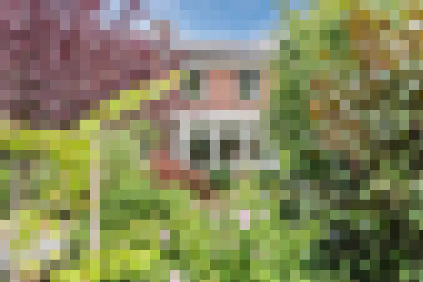Spoorlaan 118 Oss thumbnail 16