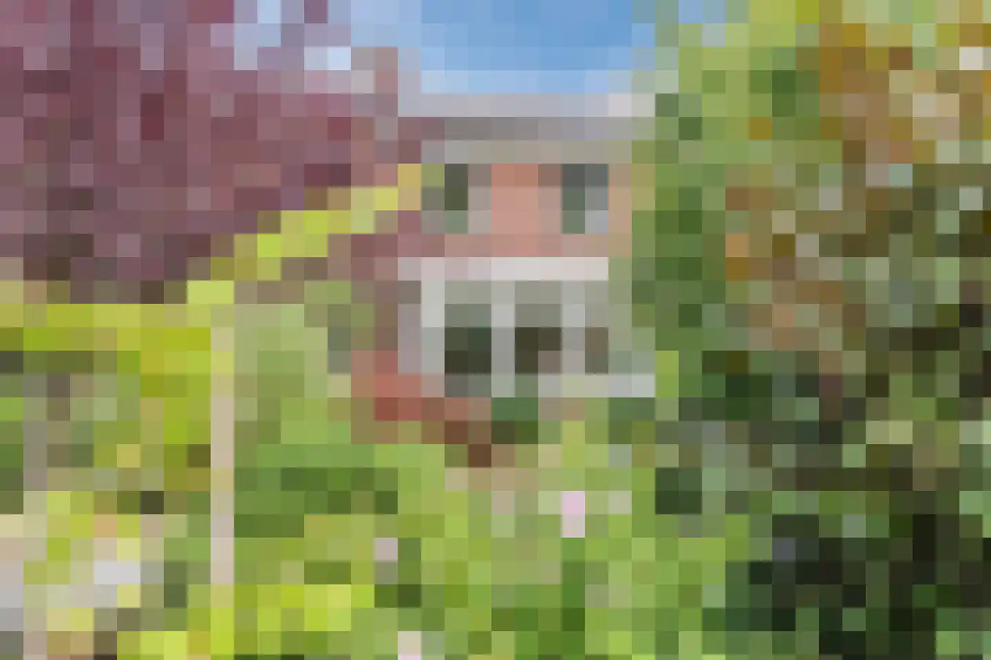 Spoorlaan 118 Oss thumbnail 16