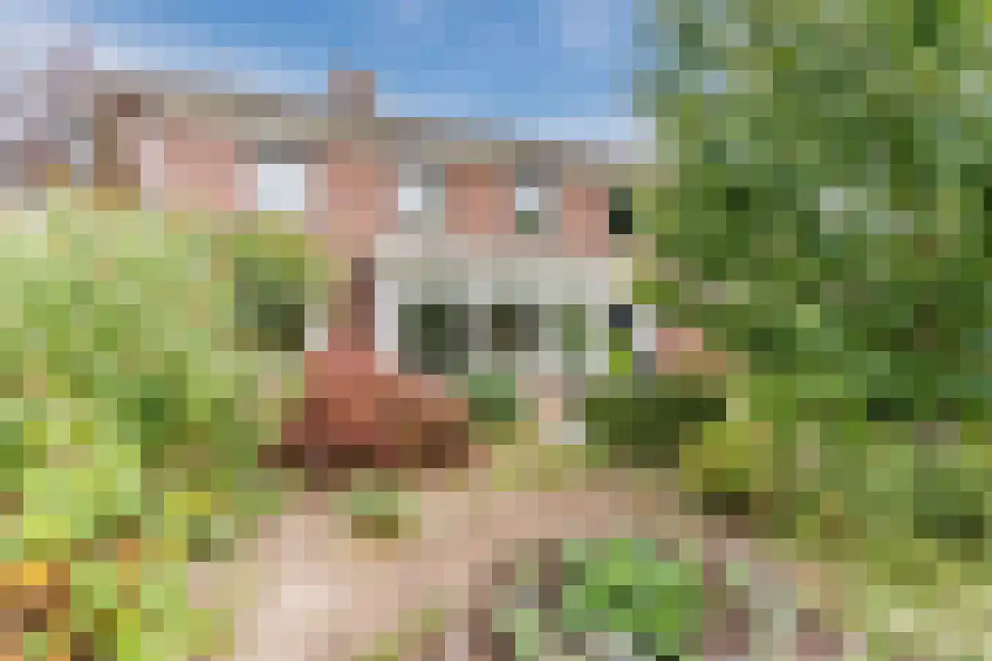 Spoorlaan 118 Oss thumbnail 17