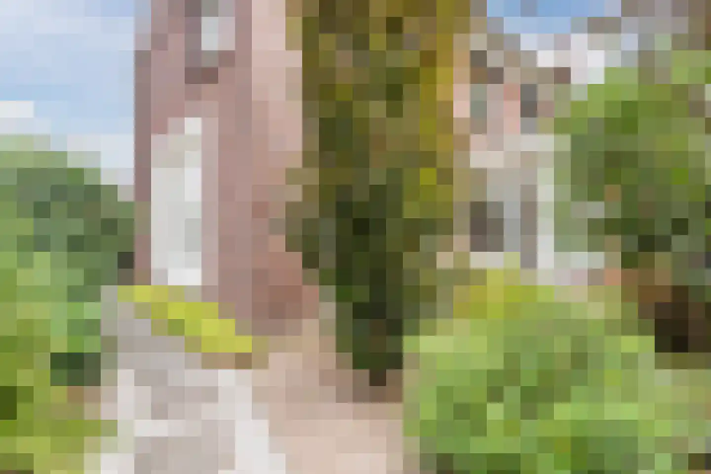Spoorlaan 118 Oss thumbnail 18