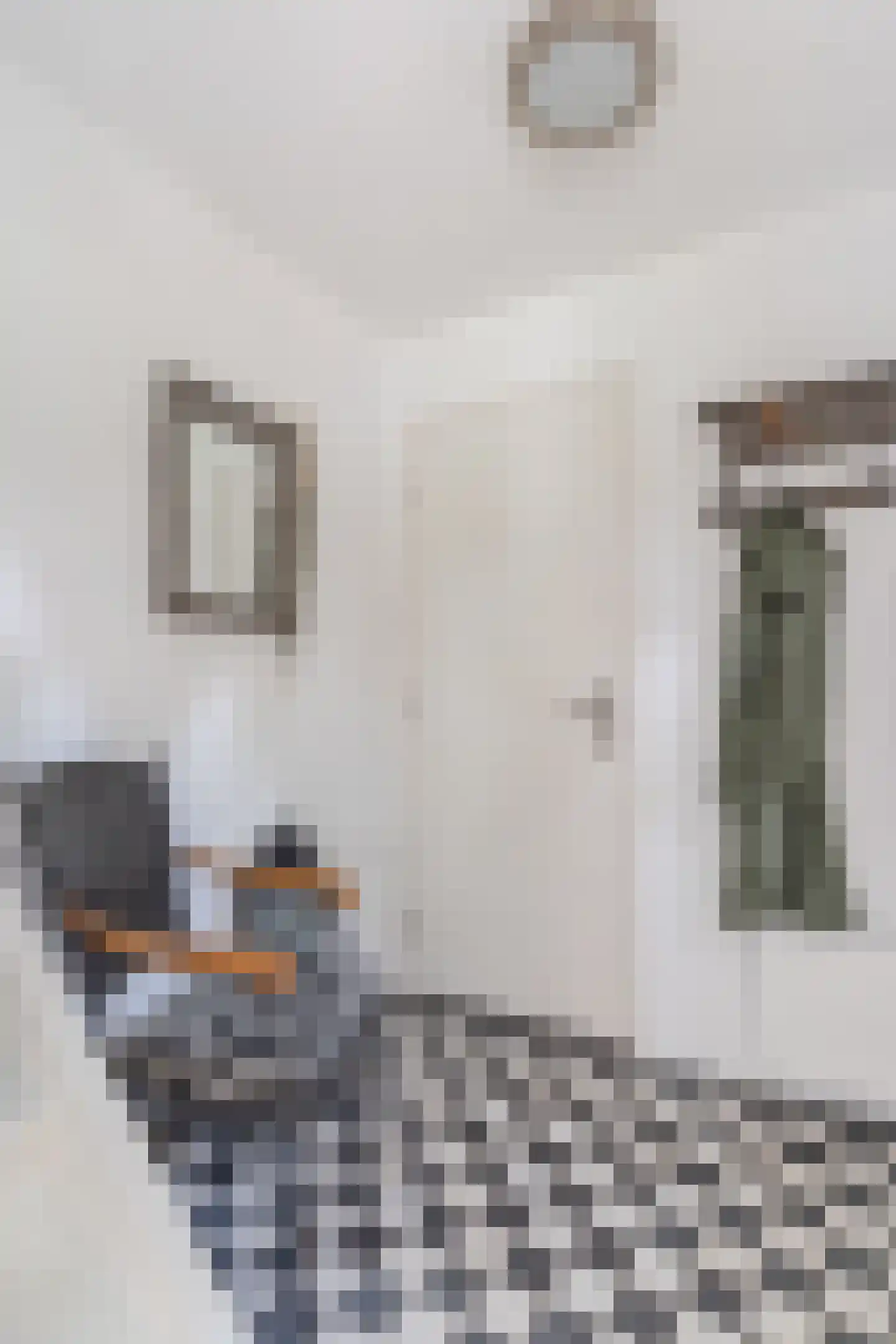 Spoorlaan 118 Oss thumbnail 21