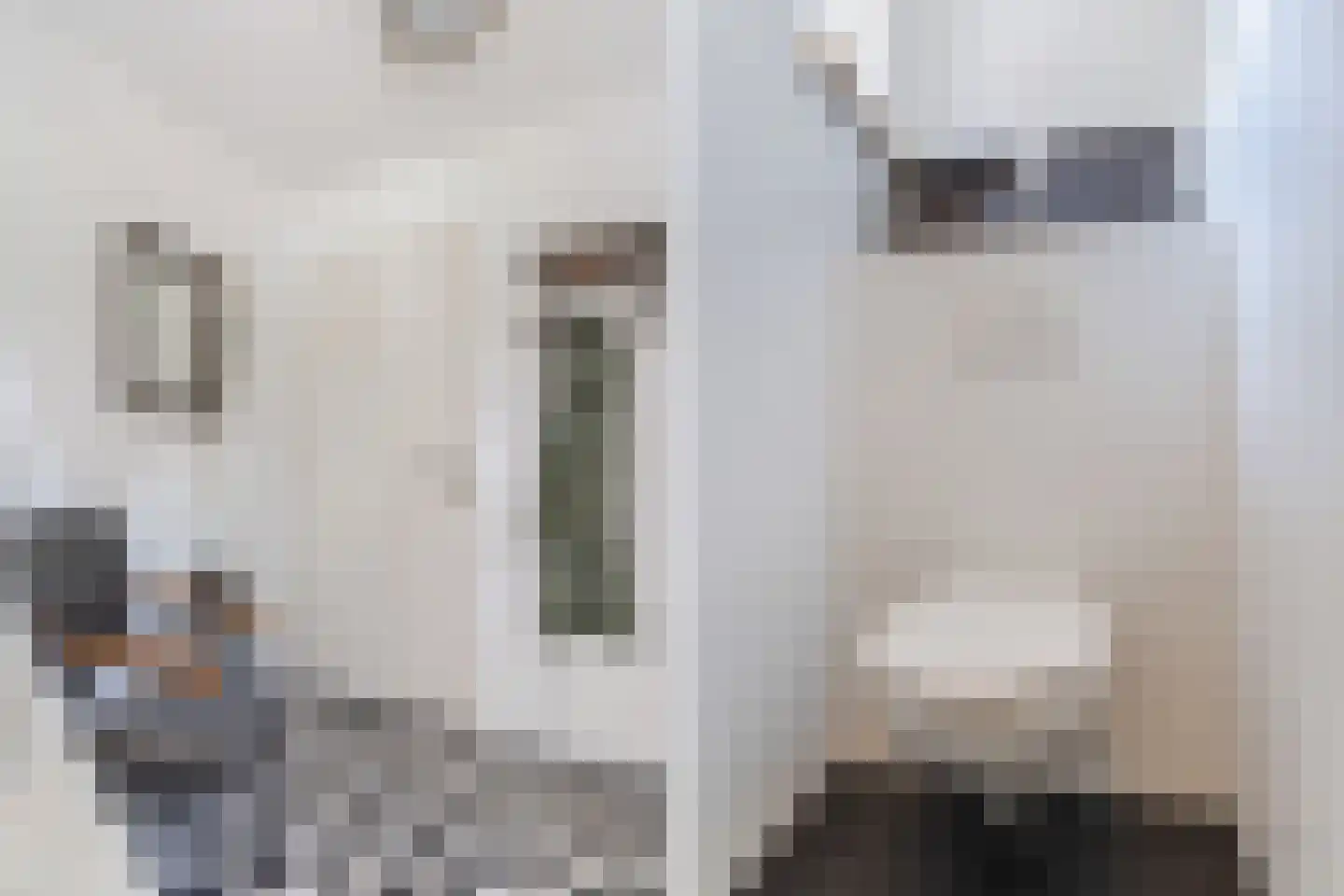 Spoorlaan 118 Oss thumbnail 23