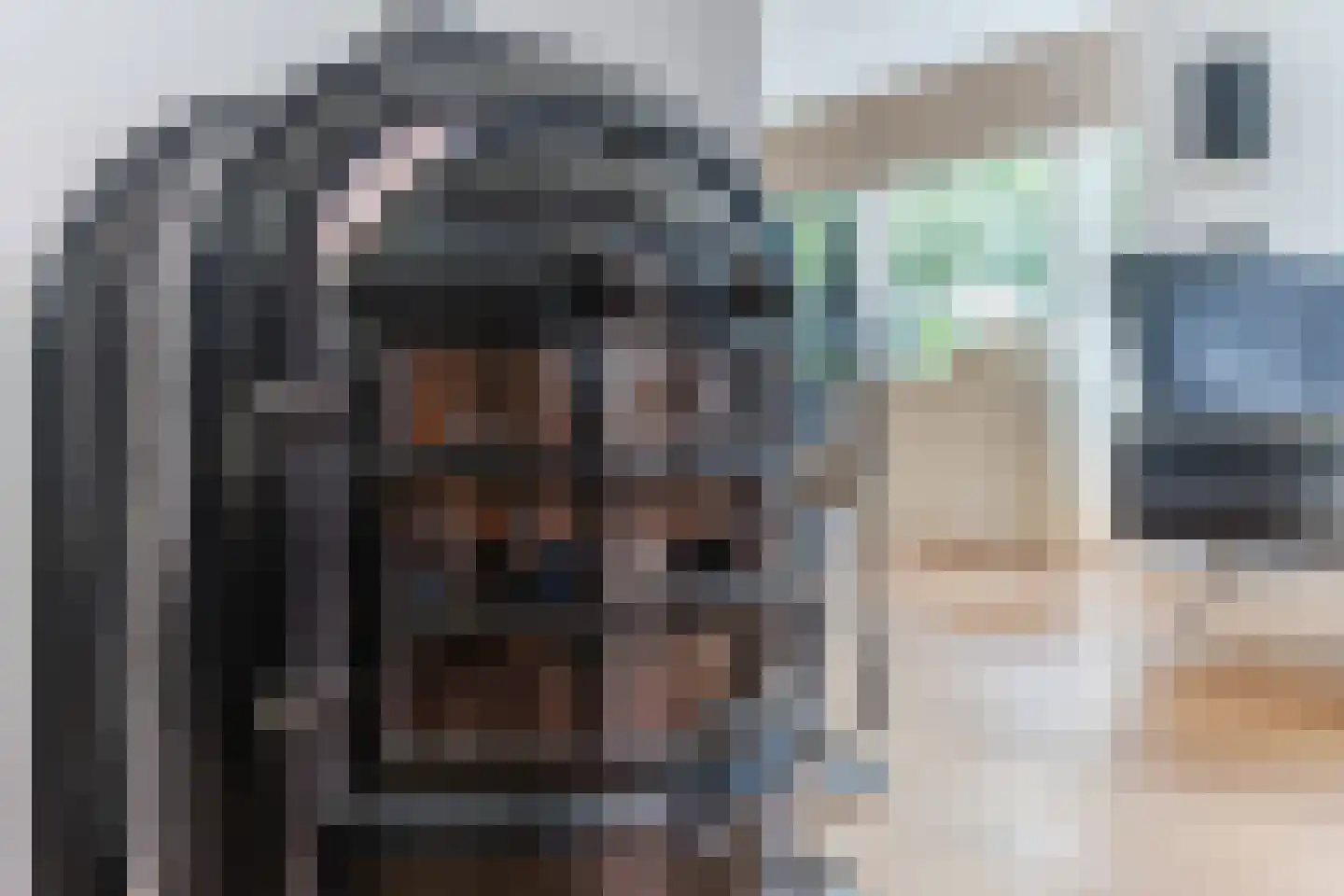 Spoorlaan 118 Oss thumbnail 29