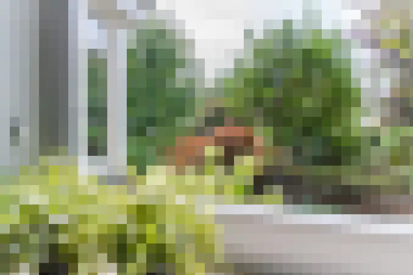 Spoorlaan 118 Oss thumbnail 30