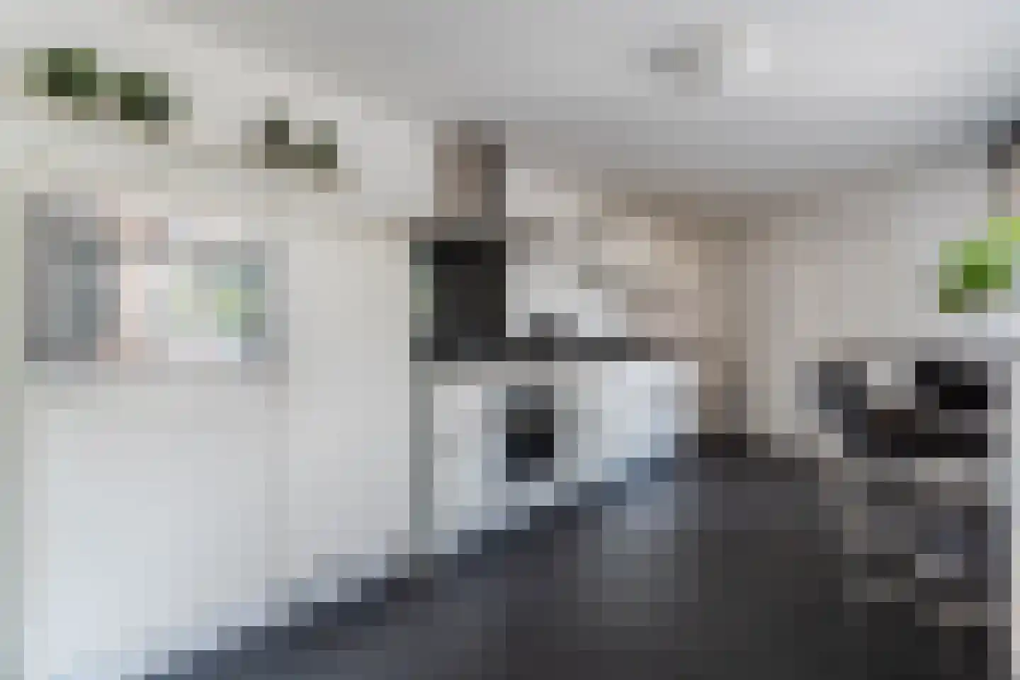 Spoorlaan 118 Oss thumbnail 37