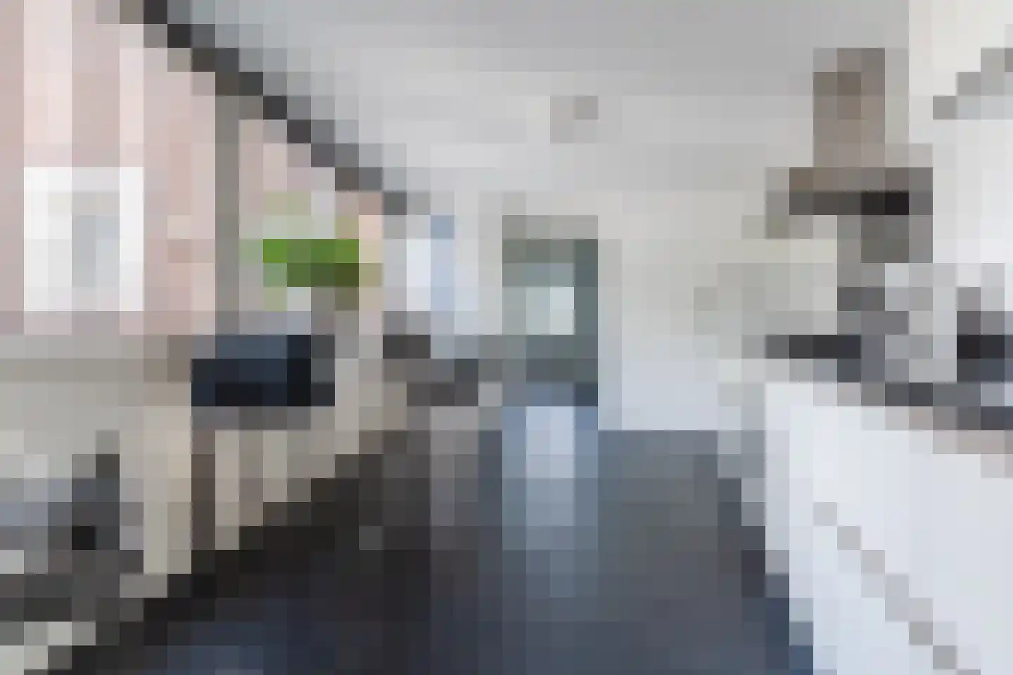 Spoorlaan 118 Oss thumbnail 39