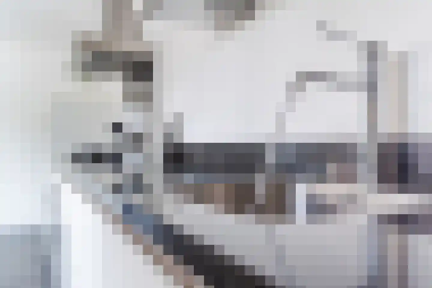 Spoorlaan 118 Oss thumbnail 40
