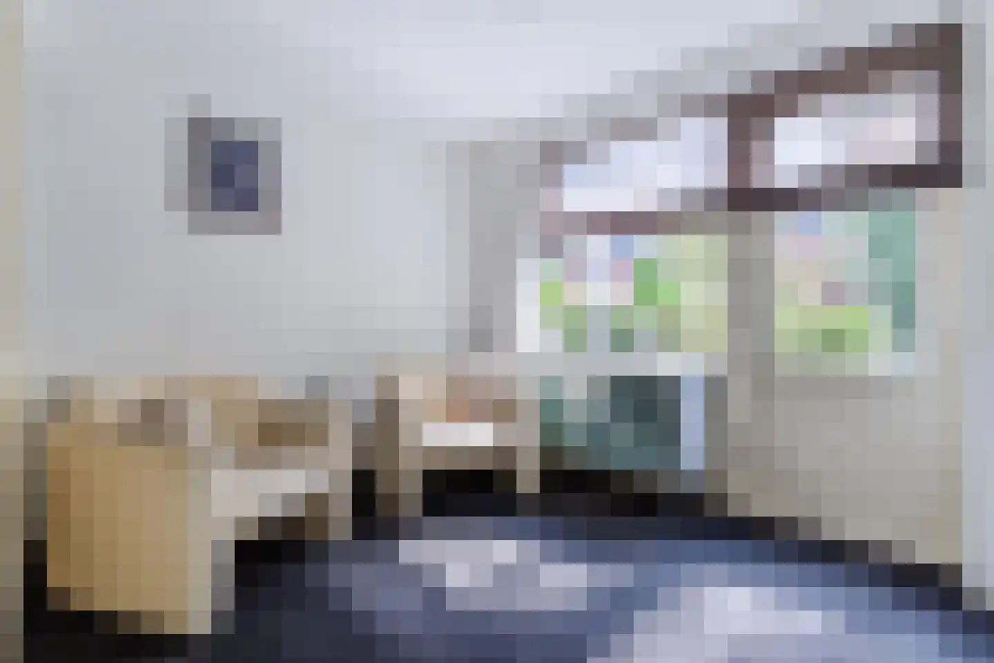 Spoorlaan 118 Oss thumbnail 46