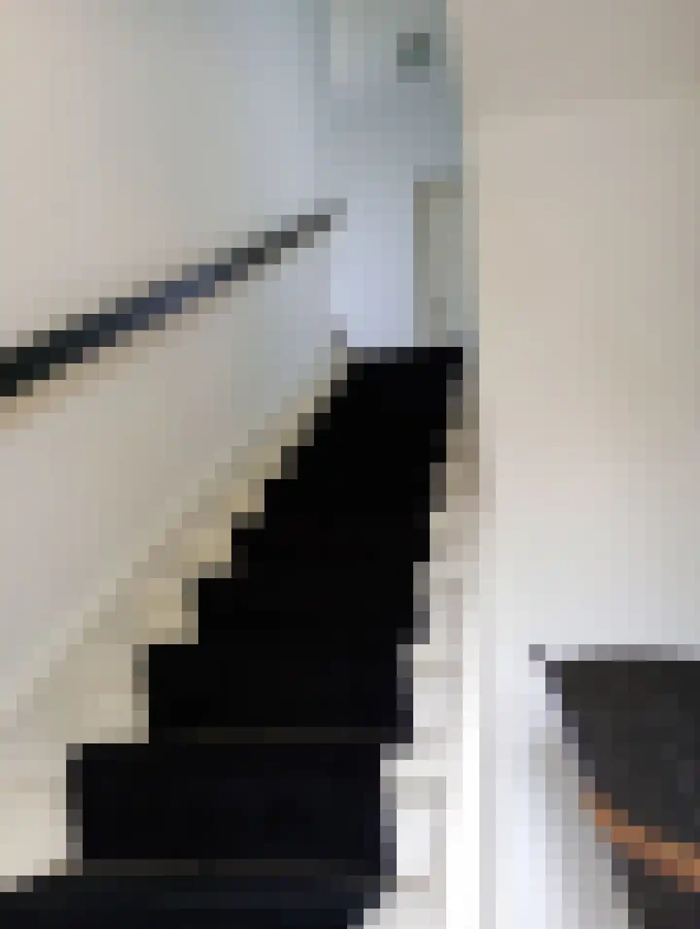 Spoorlaan 118 Oss thumbnail 50