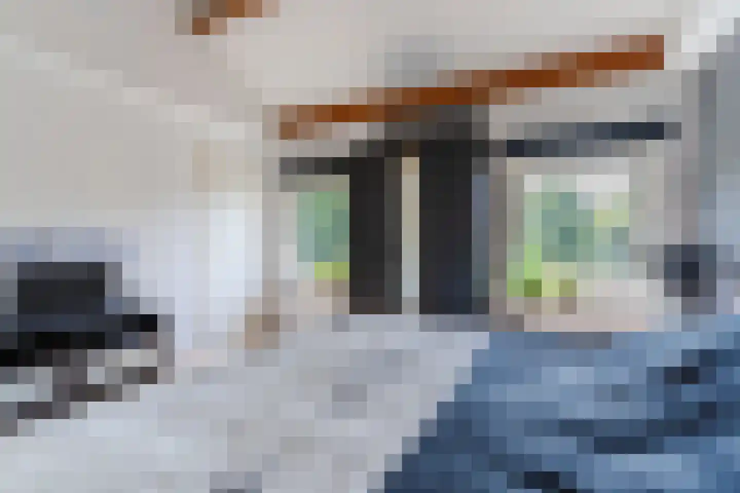 Spoorlaan 118 Oss thumbnail 57