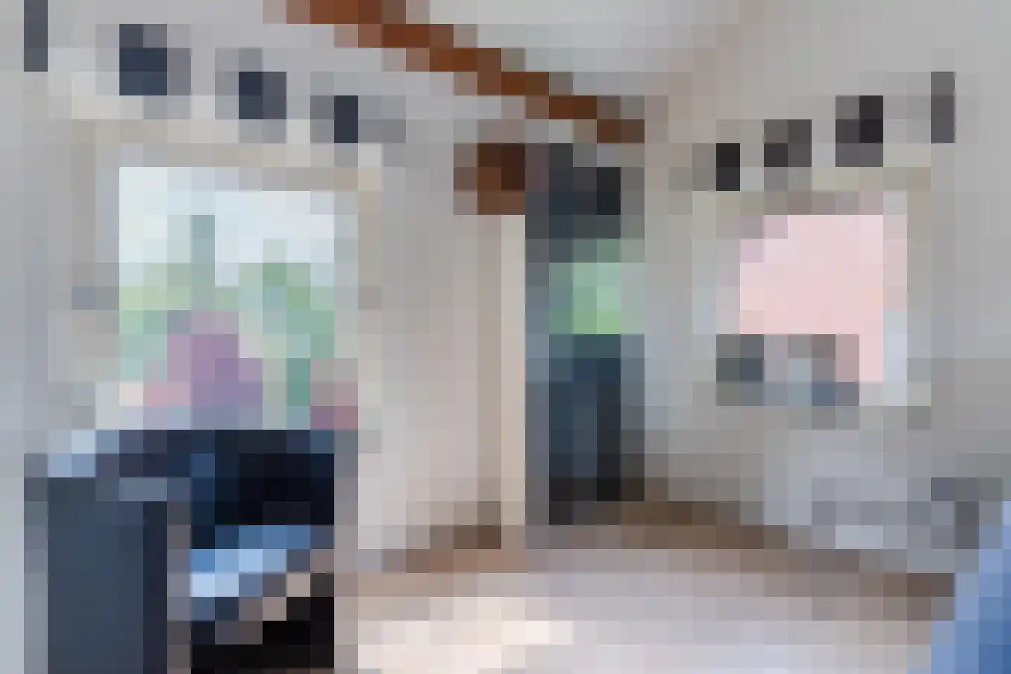 Spoorlaan 118 Oss thumbnail 58