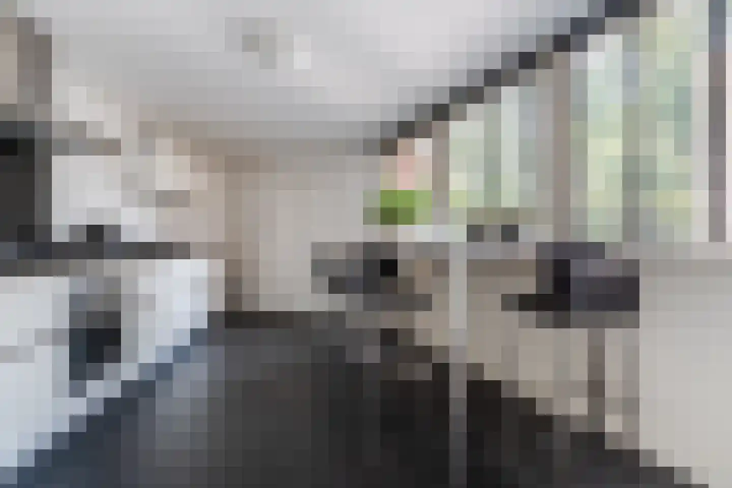 Spoorlaan 118 Oss thumbnail 6