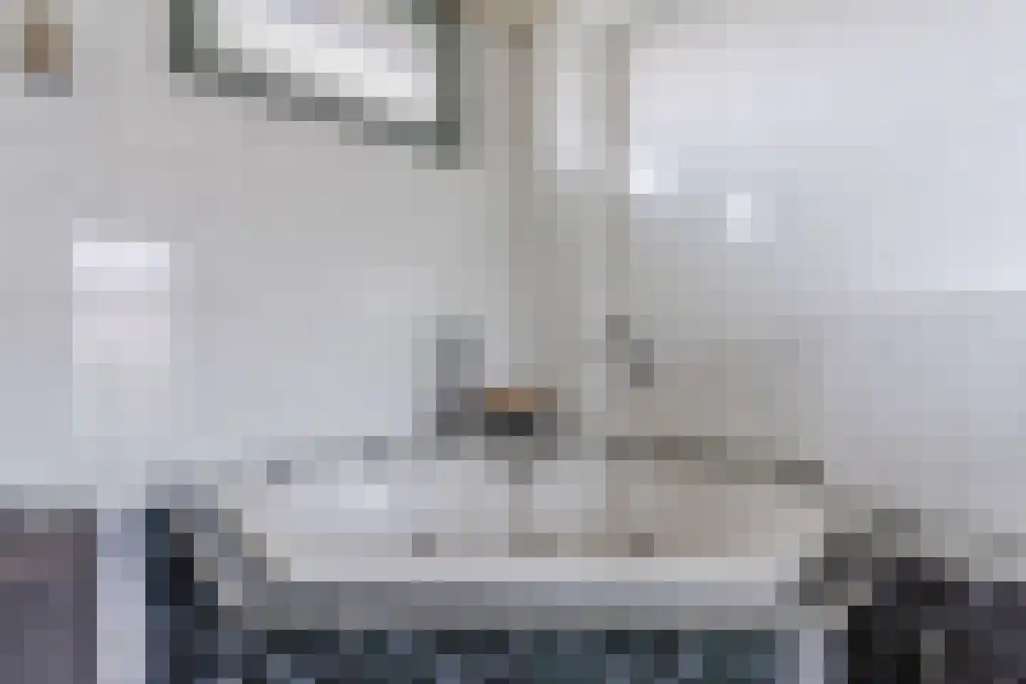 Spoorlaan 118 Oss thumbnail 64