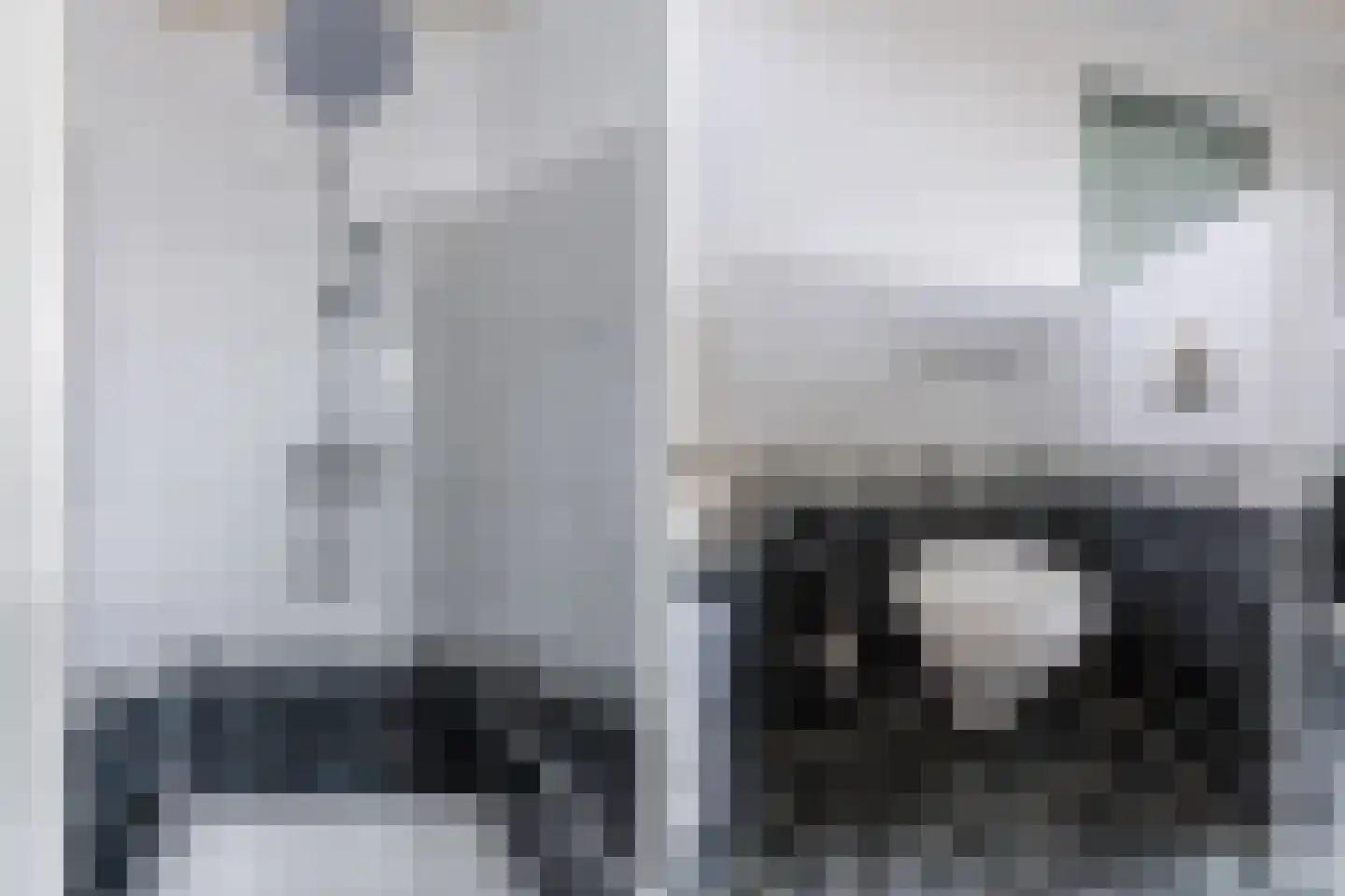 Spoorlaan 118 Oss thumbnail 69