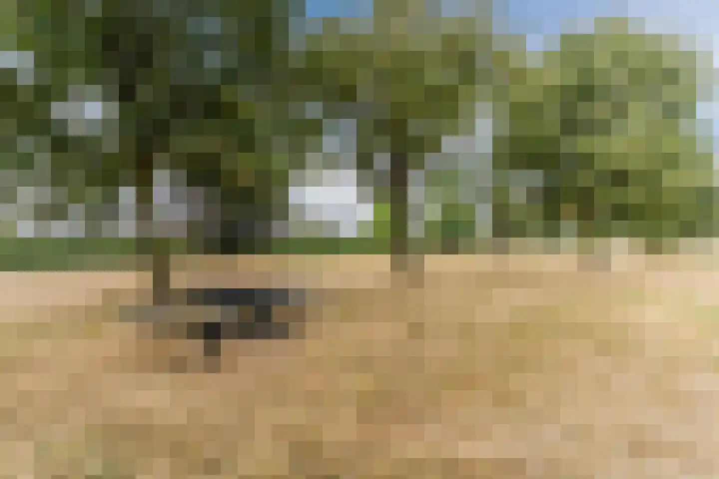Spoorlaan 118 Oss thumbnail 83